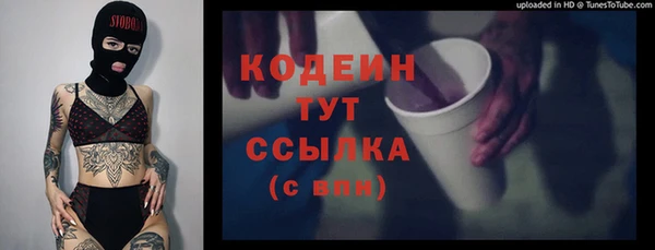 молекула духа Богородицк