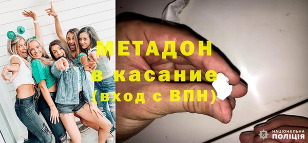 сатива Беломорск