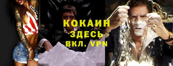 молекула духа Богородицк
