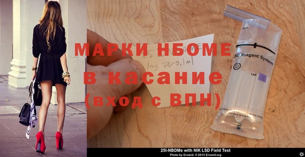 молекула духа Богородицк