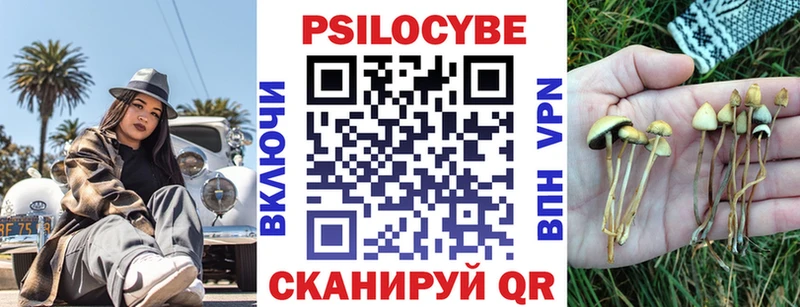 купить наркотик Полтавская Псилоцибиновые грибы Magic Shrooms