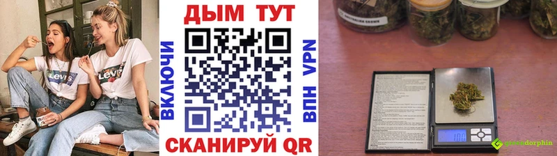продажа наркотиков  Полтавская  Каннабис индика 
